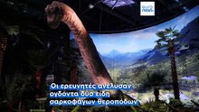 Δεινόσαυροι: Οι επιστήμονες ερευνούν γιατί ο Τυραννόσαυρος Ρεξ είχε τόσο μικρά χέρια