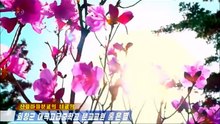 História de Hong Un Byol, professora da escola filial secundária superior Taegok do condado de Hoechang