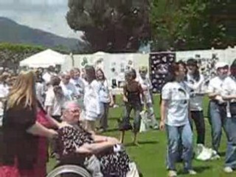 laissez moi danser Journée entre amis 2008 just-gregory.net