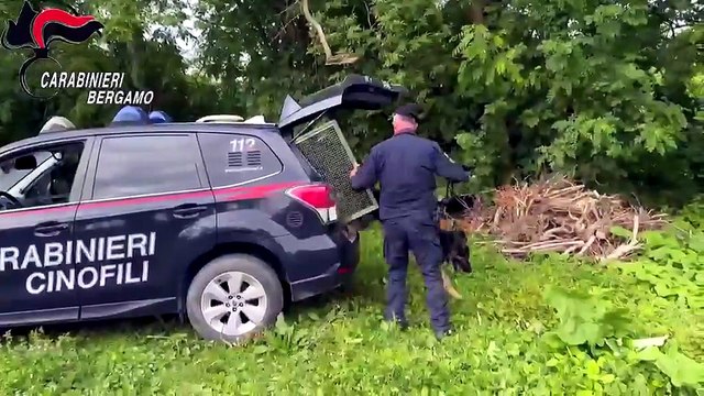 Il corpo profanato di Pamela Genini, al setaccio i boschi intorno al santuario con l'unità cinofila