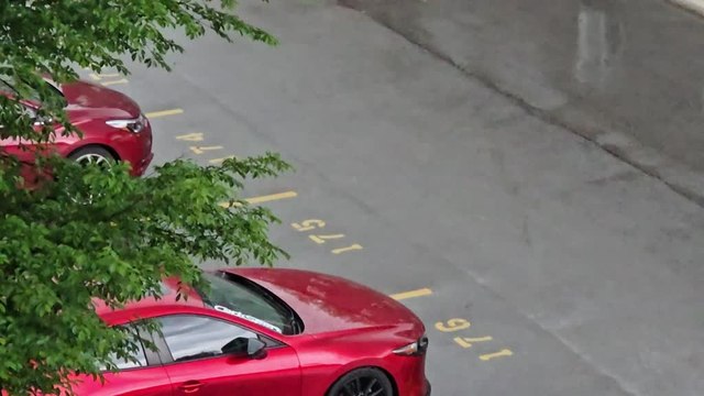 Man Watching Storm Is Left Stunned as Tree Crashes Onto His Car