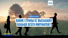 Меньше мигрантов, больше депортаций: какие страны ЕС высылают больше всего людей?