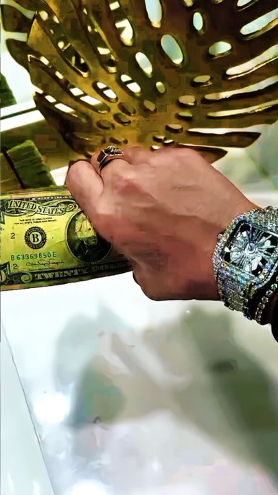 Money or love