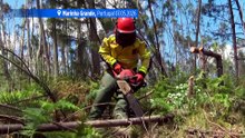 Portugal rüstet sich für einen "schrecklichen Sommer"