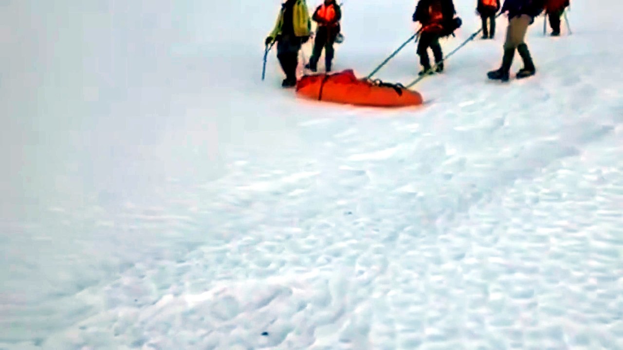 Escala volcán viral