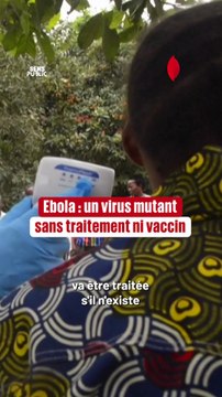 🔎 Epidémie d'Ebola : comment traiter un virus sans vaccin ni traitement ?