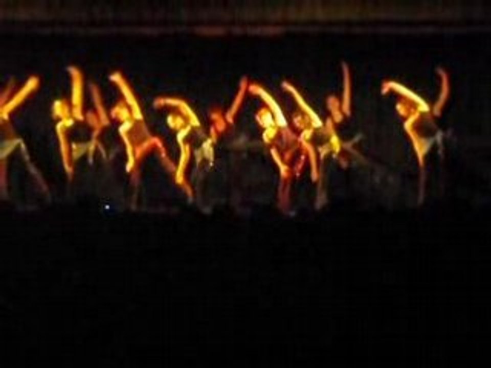 Danse 2008