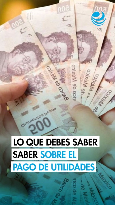 7 aspectos básicos sobre el reparto de utilidades