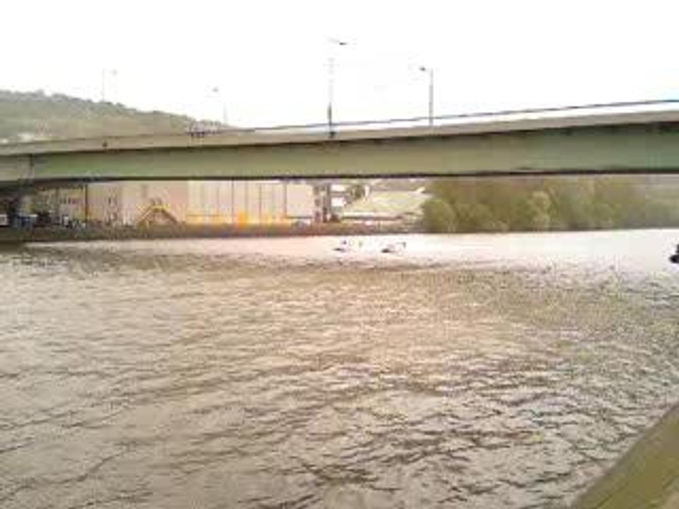 24h de Rouen #17 tour d'honneur