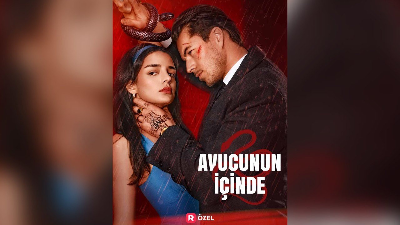 Avucunun İçInde