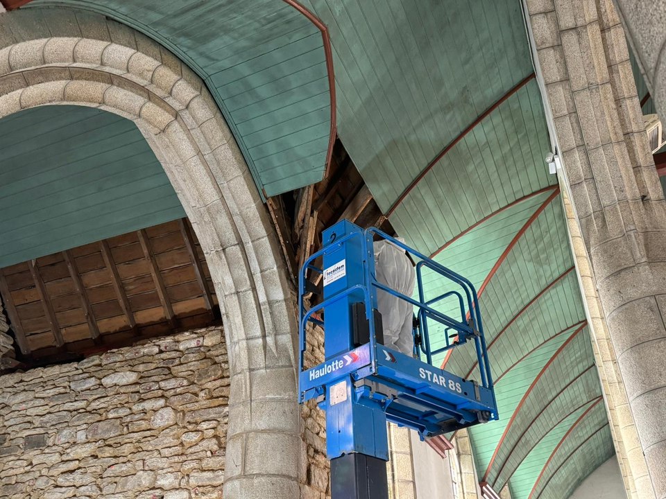 Une église de Concarneau contaminée par la mérule