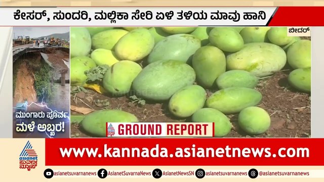 ಕಟಾವಿಗೆ ಬಂದಿದ್ದ ಮಾವು, ವಿವಿಧ ತಳಿಯ ಮಾವು ಹಾಳು | Bidar | Papaya Crop Damage | Suvarna News