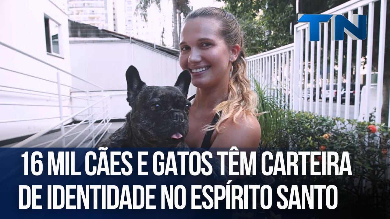 16 mil cães e gatos têm carteira de identidade no Espírito Santo
