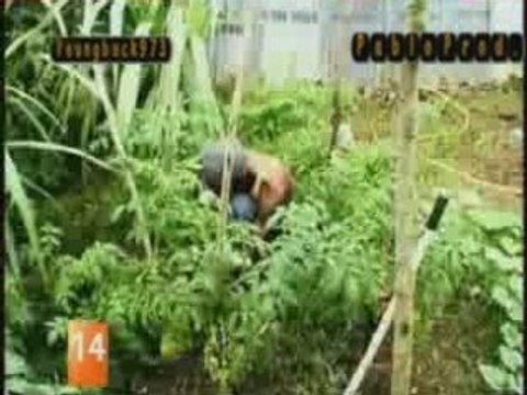 Tiwony - Prié Jah -