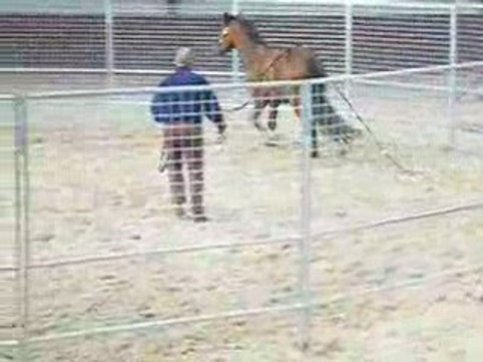 MONTY ROBERTS JUIN 08
