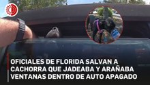Arrestan a mujer por dejar a su cachorra 40 minutos dentro de un automóvil bajo 33 grados Celsius en Florida
