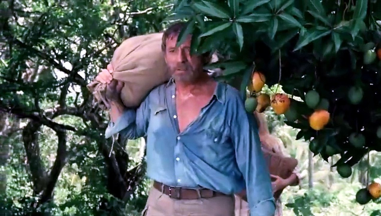 Le Sauvage - Yves Montand Catherine Deneuve 1975