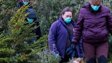 Rastrean hantavirus en roedores argentinos