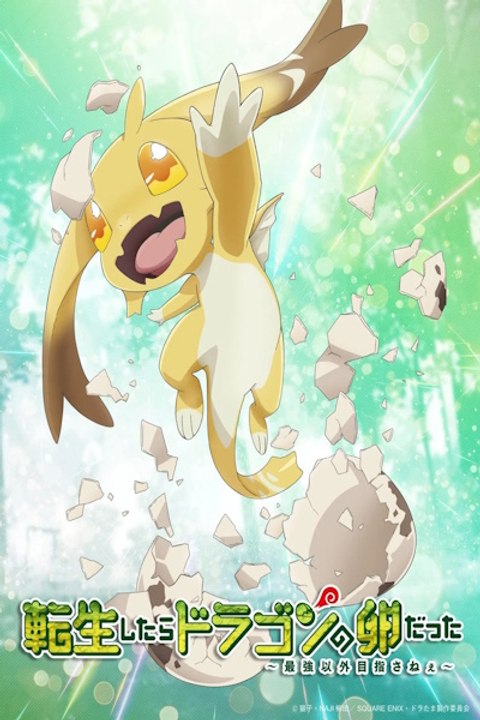 Reincarnated as a Dragon Hatchling (Tensei Shitara Dragon no Tamago Datta: Saikyo Igai Mezasanee) - Season 1 - Episode 04: The Pot Turned Out to be a Tortoise Hot Movie
