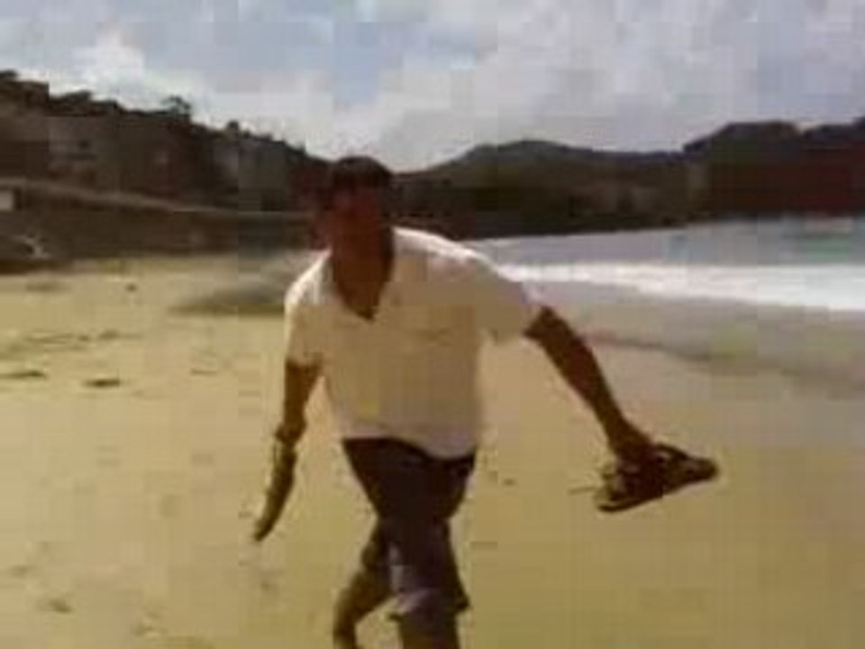 Le poisson