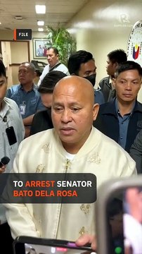 Philippines begins search for ICC suspect Bato dela Rosa