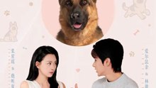 穿越汪星来爱你31-62（62集）爱尔法金＆张星瑶