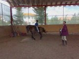 Cavalos joana ines_2