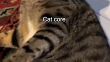 Cat core