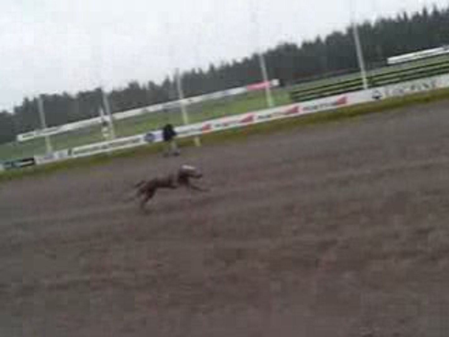 Rotu race