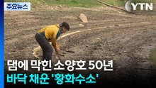 댐에 막힌 소양호 50년...바닥 채운 '황화수소' / YTN