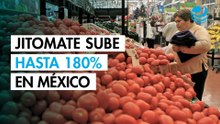 Jitomate se encarece hasta 180%: en cuál estado subió más el precio de este emblemático alimento