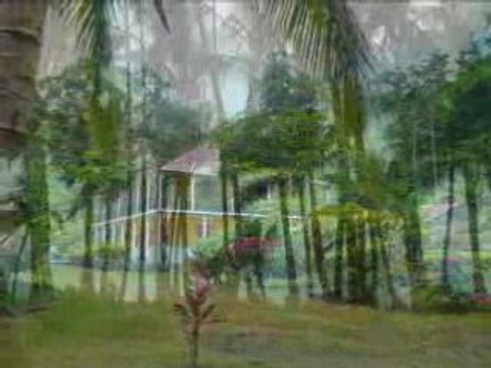 Martinique 2008