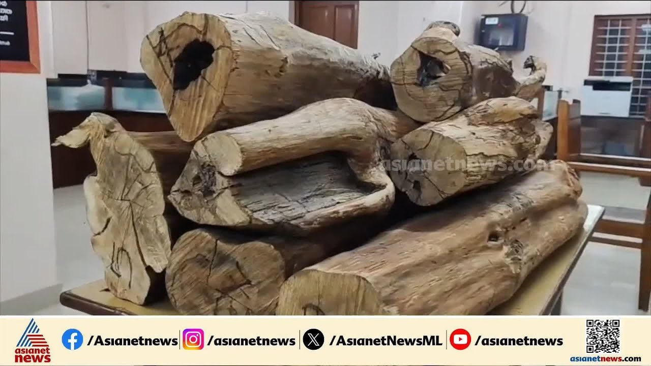 തിരുവനന്തപുരത്ത് വൻ ചന്ദന വേട്ട; 100 കിലോ ചന്ദന...