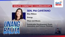 Senate Committee chairmanships | Unang Balita