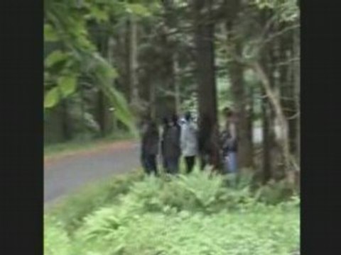 Alsace vosges 08 1ERE partie