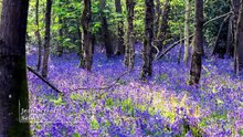 Love Your Weekend with Alan Titchmarsh S08E18