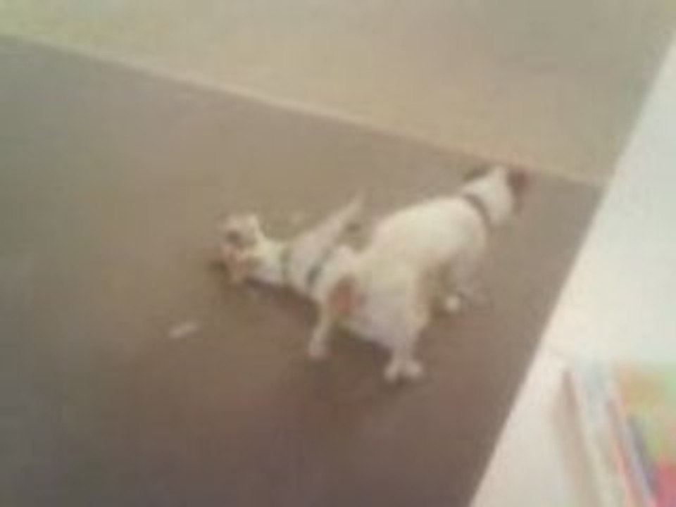Chiki et Chufy