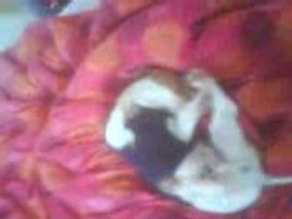 Chiki et son t-shirt