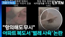 "관리소 항의해도 무시"... 아파트 복도서 '바퀴벌레 사육' 논란 [지금이뉴스] / YTN