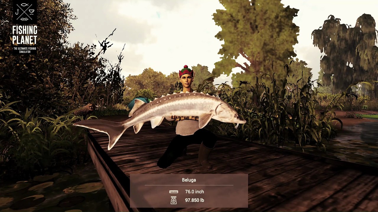 How to catch Beluga at Dnipro River | Fishing Planet