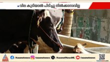 കാലിത്തീറ്റ വില കൂടുമോ; ആശങ്കയൊഴിയാതെ ക്ഷീരകർഷകർ