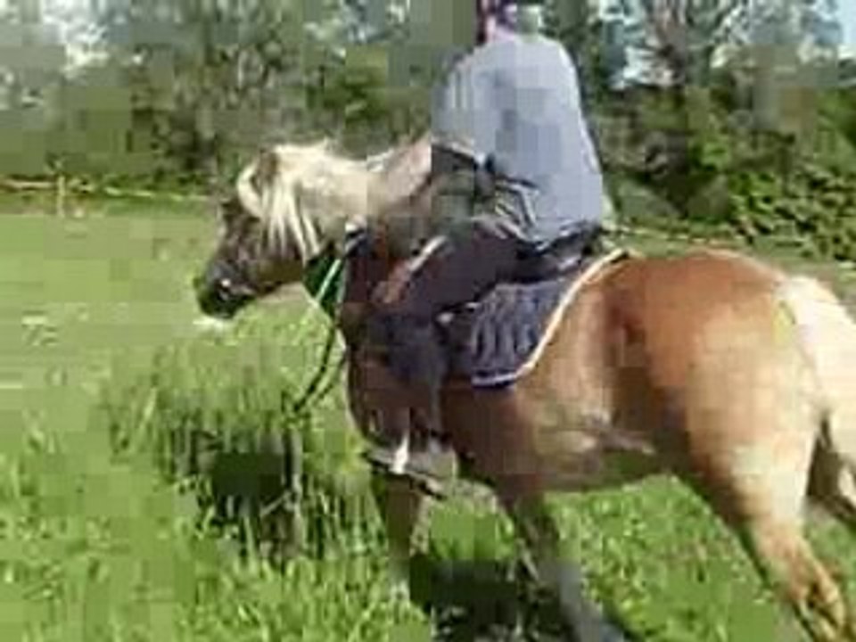 obstacle princesse