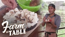 A tangy twist on your favorite Bangus Sinigang | Farm To Table