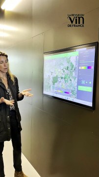 Au Château Cantemerle, l’œnotourisme devient une expérience sensorielle