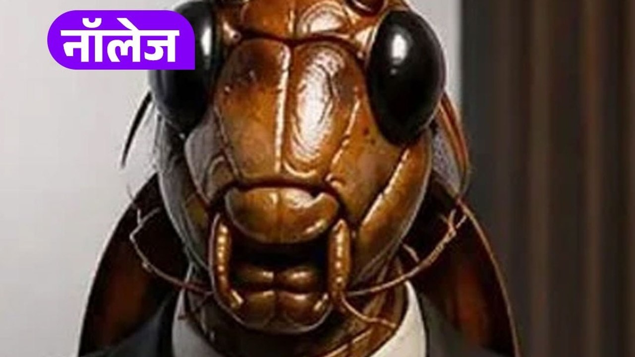 कॉकरोच जनता पार्टी के फाउंडर अभिजीत दीपके ने खो...