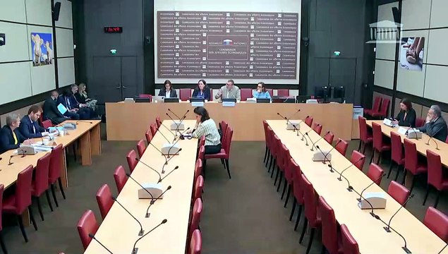 Vulnérabilités systémiques dans le secteur du numérique : M. David Amiel, ministre de l’action et des comptes publics ; Mme Anne Le Hénanff, ministre déléguée auprès du ministre de l’économie - Mercredi 20 mai 2026