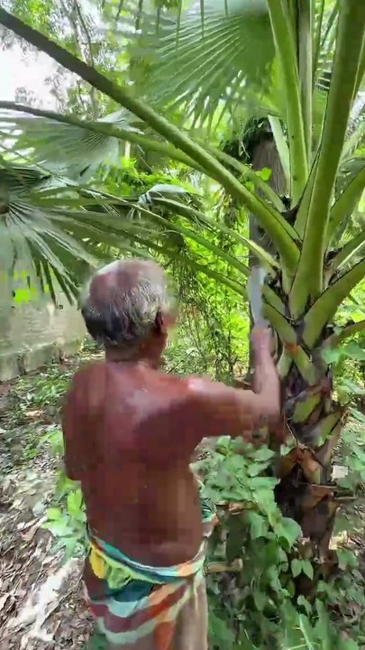 Making a Farmers Hat from Palm Leaves Eco-Friendly Weaving