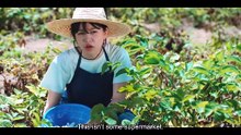 Azure Spring  Episode 3 Eng Sub