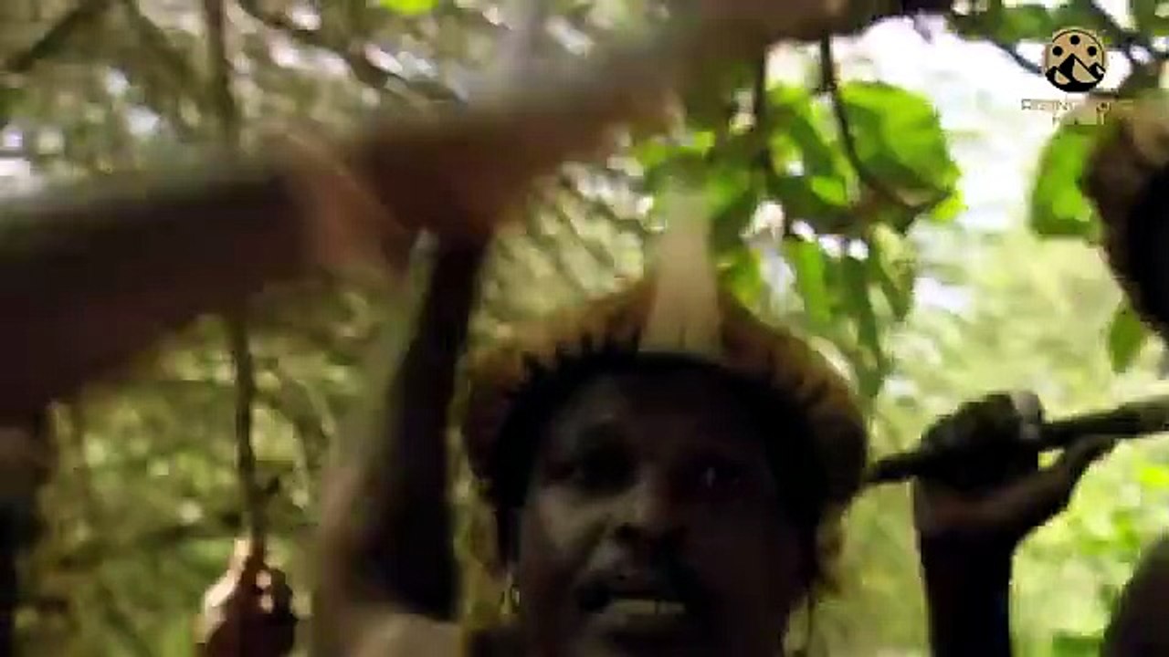TREASURE OF THE LOST WORLD - Hollywood Movie Hindi Dubbed _ Sean Cameron _ Action Adventure Movie