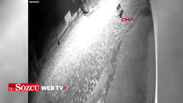 Tokat’ta köye inen kurt güvenlik kamerasında